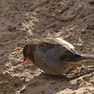 Beim Sandbad