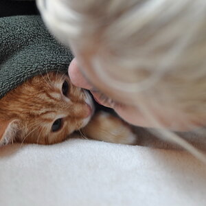 cb 110901 0025 cat nff