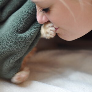 cb 110901 0027 cat nff