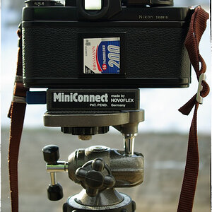 Nikon F3

Novoflex MiniConnect

Gitzo Gilux Sport
