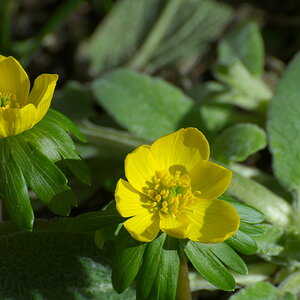 Bilder 02 03 13 040 1