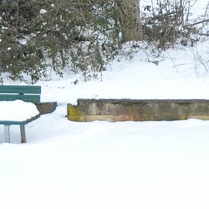 DSC 0091 n