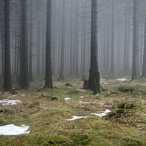 Harz 2