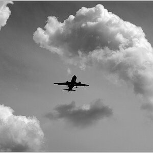 DSC3606 Flieger w