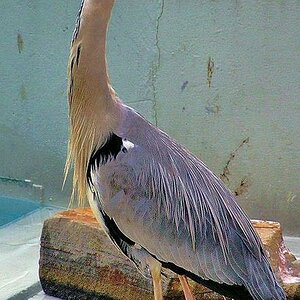 Tierpark Bochum
