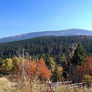 Blick auf den Brocken (vom Torfhaus aus)

D40