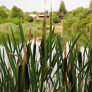 Einer meiner Lieblingsplätze, Schiefersee Frommern