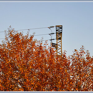 Herbstbaum 02 - Impressionen 2oo8