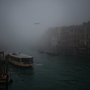 rialto20081102