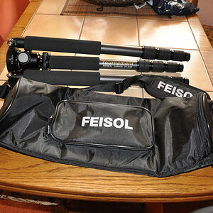 feisol