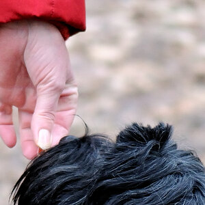 hand 1