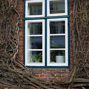 Fenster