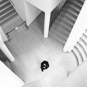 NFF900BlackandWhite2009Joe034