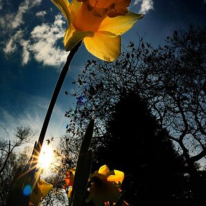 2009 04 07 Weitwinkelmakros Botanischer Garten D7C 7003 cnx