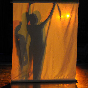 Gegenlicht 2009