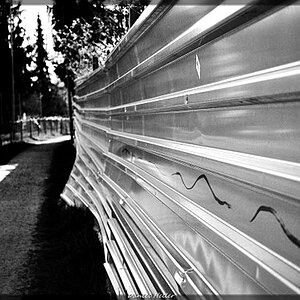 c DSC0016