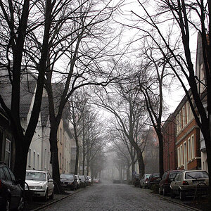 fog