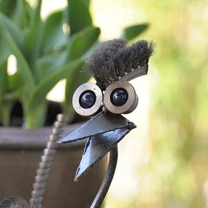 80 200 vogel