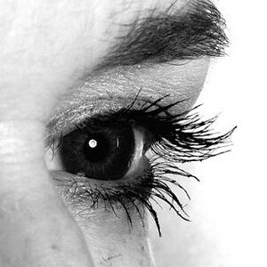 Augen1
