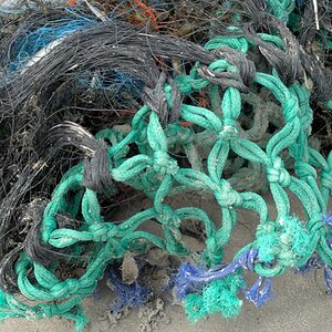 Strandgut 02