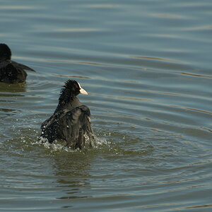 Bilder 02 03 13 017 1