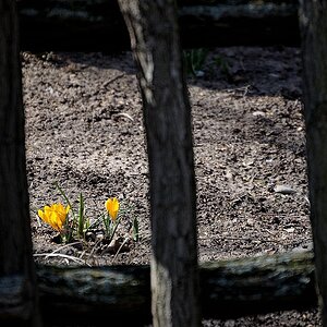 Frühling