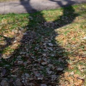DSC 0110