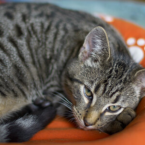 20121207 DSC00412