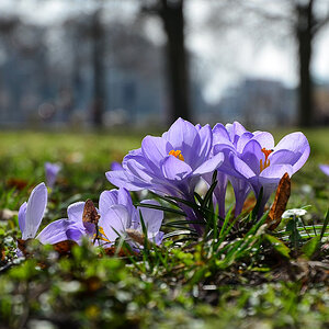 52 mm, 1/1000, f/4.5, ISO 200
