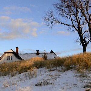 Wintersonne am Dünengürtel