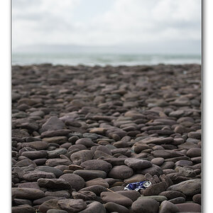 strandgut1