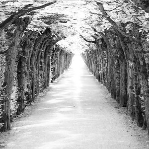 Der Weg ins Licht