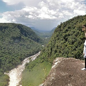 Potaro River
9941