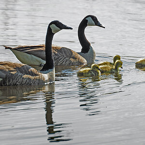 DSC 1864 Familienausflug 1 1000
