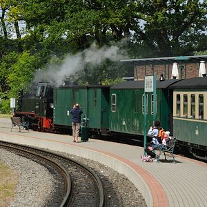 ASL 5561