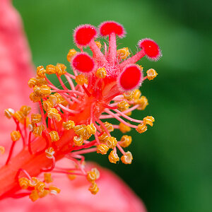 SH 20130513 2605