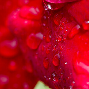 SH 20130511 2586