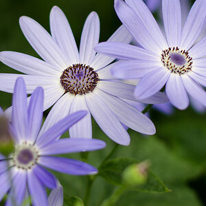 SH 20130402 1557