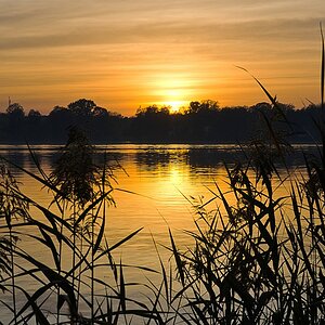 comp D7T 3197KontrOVL LumSh noi Shad

Sunset am Scharmützelsee Landkreis Oder Spree
Oktober 2012

Objektiv:  Tamron SP AF 17-50mm F/2.8 XR Di II VC
