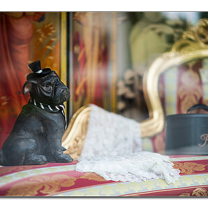 im schaufenster