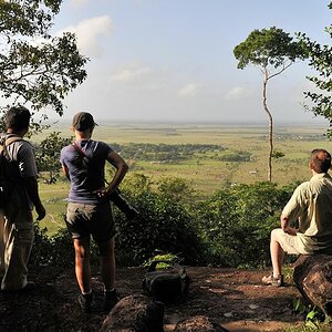 Savanna View vom Panorama Trail
2178