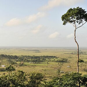 Savanna View vom Panorama Trail
2182