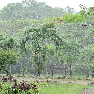 Regen
Rockview lodge, Annai
2275