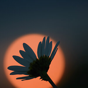 434900sonnenuntergang