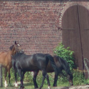 20130614 1581 [NIKON D7100] 200 mm,1 1000 Sek. bei ƒ   4,0