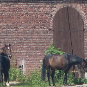 20130614 1582 [NIKON D7100] 200 mm,1 640 Sek. bei ƒ   5,6