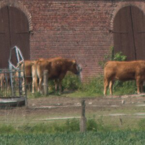 20130614 1587 [NIKON D7100] 135 mm,1 2000 Sek. bei ƒ   2,8