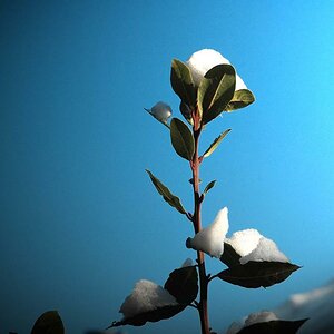 Desktop Bild 05