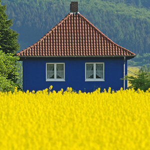 bunt haus raps