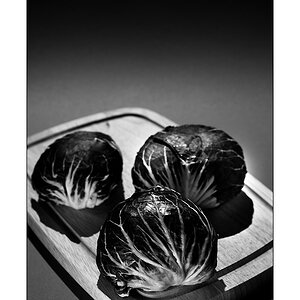 Radicchio 1
